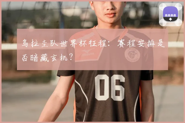 乌拉圭队世界杯征程:赛程安排是否暗藏玄机?
