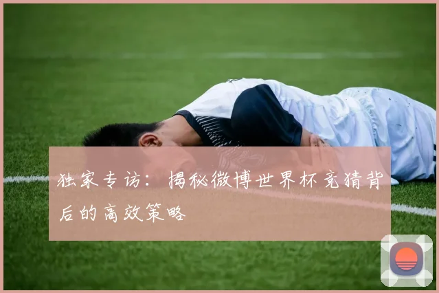 独家专访:揭秘微博世界杯竞猜背后的高效策略