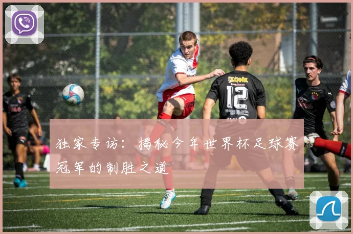 独家专访:揭秘今年世界杯足球赛冠军的制胜之道