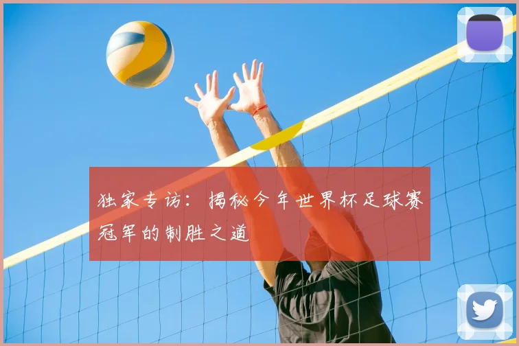 独家专访:揭秘今年世界杯足球赛冠军的制胜之道